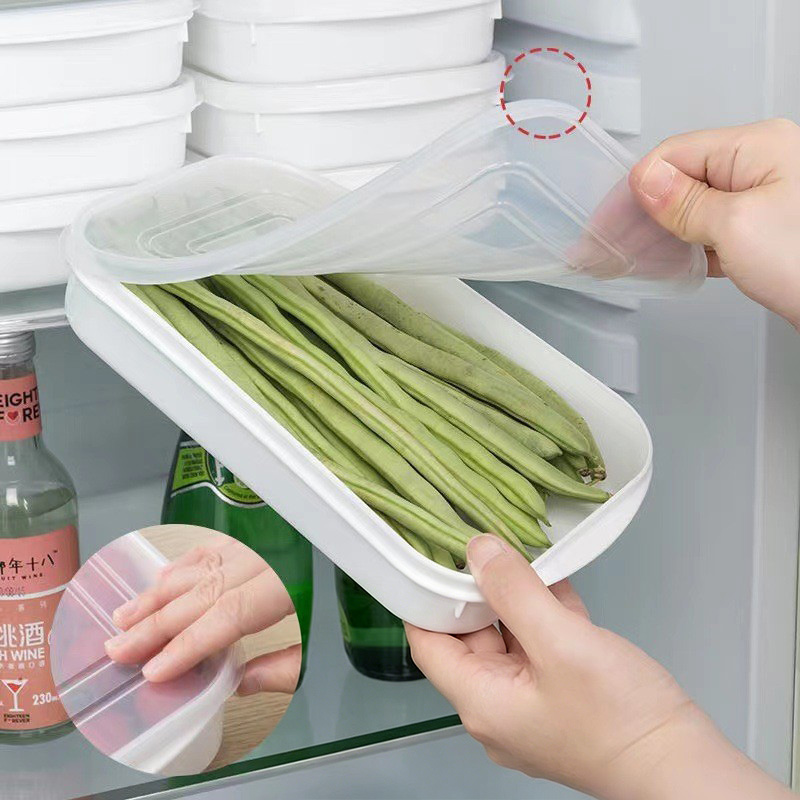 2PCS Food Vegetable Storage Co - đánh giá và giá Food Storage Lunch Box