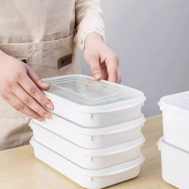 2PCS Food Vegetable Storage Co - đánh giá và giá Food Storage Lunch Box