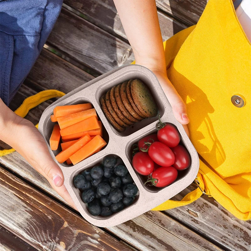 4 Grids Food Storage Box Porta - đánh giá và giá Food Storage Freezer