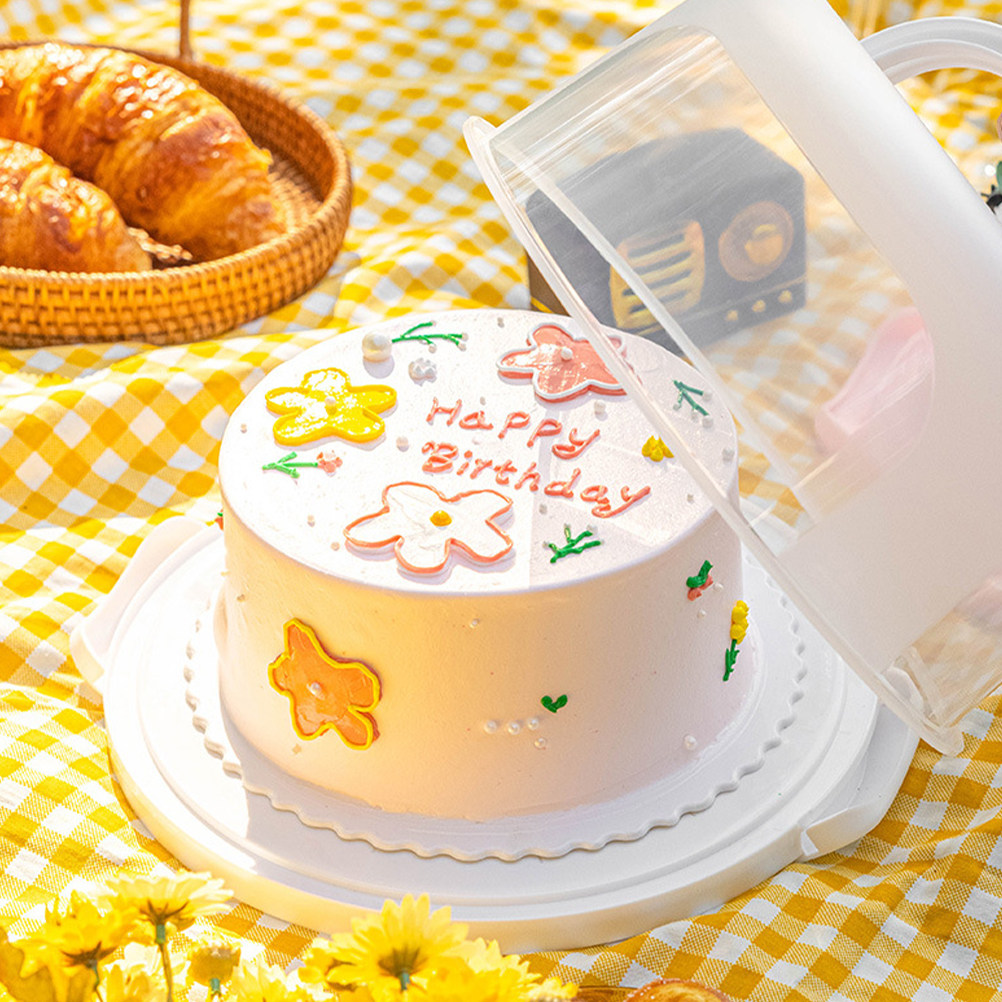 Cake Storage Box 10 Inch Round - đánh giá và giá Food Storage Box